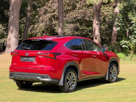 Lexus NX 300H LUXURY 19