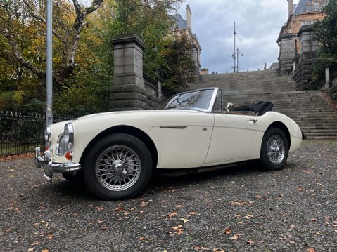 Austin Healey 3000 26