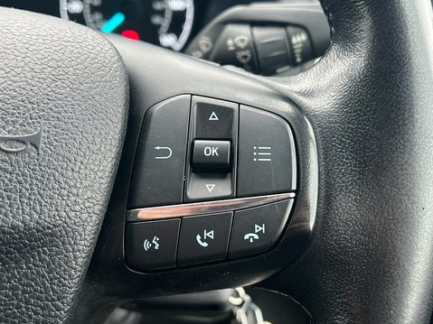 Ford Transit Custom 300 LIMITED P/V ECOBLUE 31