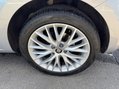 SEAT Leon TSI EVO SE DYNAMIC 19