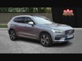 Volvo XC60 T8 TWIN ENGINE R-DESIGN PRO AWD 15