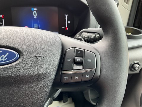 Ford Transit 350 LIMITED L3H2 P/V ECOBLUE 165 BHP 17