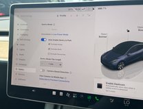 Tesla Model Y (Dual Motor) Long Range SUV 5dr Electric Auto 4WDE (384 bhp) 21