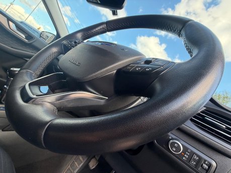 Ford Kuga TITANIUM ECOBLUE 19