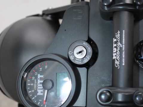 Mutt Akita 125 Pre-registered 15