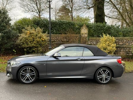 BMW 2 Series 220D M SPORT 10