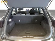 Ford Puma 1.0T EcoBoost MHEV ST-Line SUV 5dr Petrol Hybrid DCT Euro 6 (s/s) (125 ps) 21