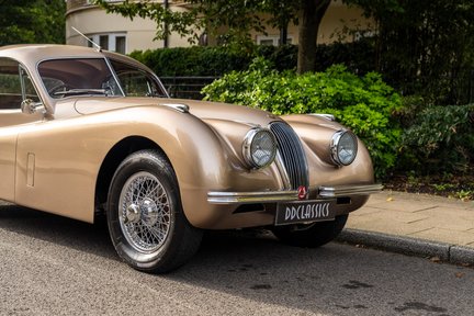 Jaguar XK 120 Fixed-Head Coupe Fast Road Spec 10