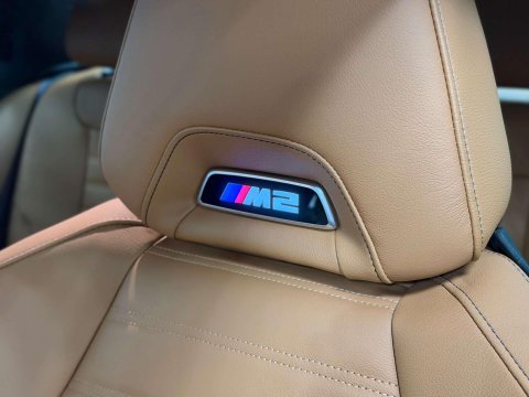 BMW M2 3.0 BiTurbo Coupe 2dr Petrol Steptronic Euro 6 (s/s) (460 ps) 36