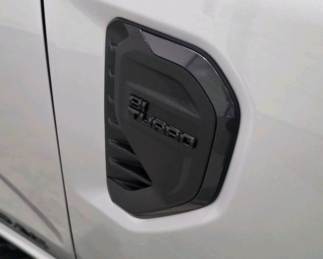 Ford Ranger Ranger Double Cab Wildtrak 2.0 EcoBlue 205 Auto Fitted with Canopy