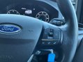 Ford Transit Custom 300 LIMITED P/V ECOBLUE 16