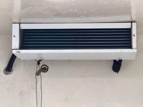 Ford Transit 2.2 TDCi 310 Trend Panel Van 5dr Diesel Manual FWD L2 H3 Euro 5 (s/s) (125 43