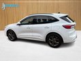 Ford Kuga 1.5T EcoBoost ST-Line Edition SUV 5dr Petrol Manual Euro 6 (s/s) (150 ps) 31