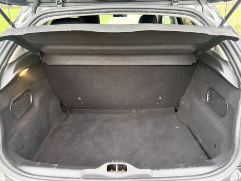 Citroen C4 Cactus BLUEHDI FLAIR 14