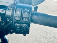 Harley-Davidson Street Glide Street Glide Special 1868 29