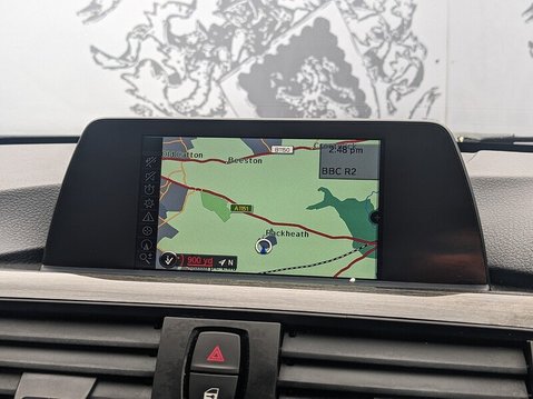 BMW 3 Series 320D LUXURY 31