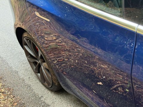 Tesla Model 3 Model 3 Performance AWD 4WD 4dr 58