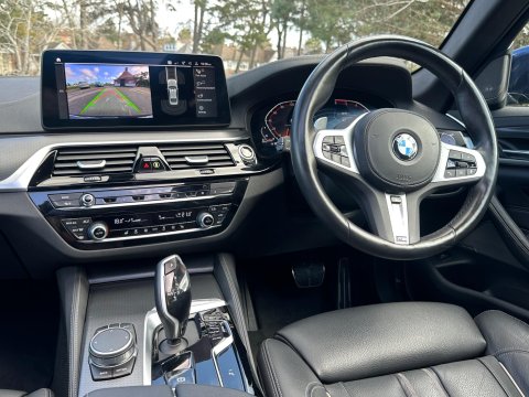 BMW 5 Series 3.0 530d MHT M Sport Steptronic xDrive Euro 6 (s/s) 4dr 21