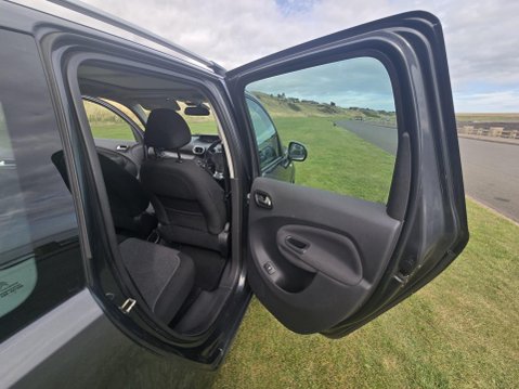 Citroen C3 Picasso 1.6 BlueHDi Platinum Euro 6 5dr 19