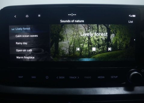 Hyundai i20 1.0 i20 N Line MHEV TGDi 5dr 29