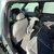 Kia EV5 GT-LINE 14