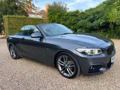 BMW 2 Series 2.0 218d M Sport Convertible 2dr Diesel Manual Euro 6 (s/s) (150 ps) 17