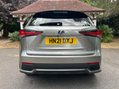 Lexus NX 300H 23
