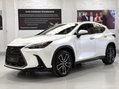 Lexus NX 450H PLUS TAKUMI Pan Roof + Mark Levinson Sound 11