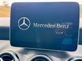 Mercedes-Benz GLA Class GLA 220 D 4MATIC AMG LINE PREMIUM PLUS 33