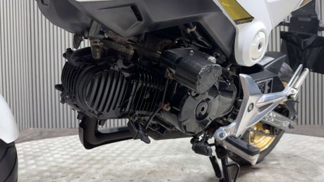 Honda MSX125 2015 ONLY 8K VERY CLEAN MINI MONKEY BIKE 125CC 15