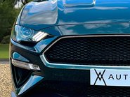 Ford Mustang BULLITT 17