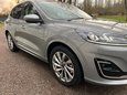 Ford Kuga VIGNALE 16