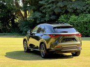 Lexus NX 350H 7