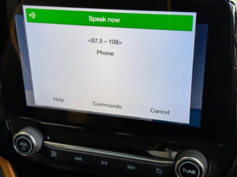 Ford Fiesta 1.0T EcoBoost Active B&O Play Euro 6 (s/s) 5dr 19