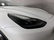 Tesla Model Y (Dual Motor) Long Range SUV 5dr Electric Auto 4WDE (384 bhp) 9
