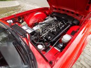 Triumph TR6 125 bhp Sports 7