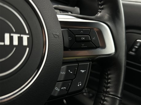 Ford Mustang BULLITT 55