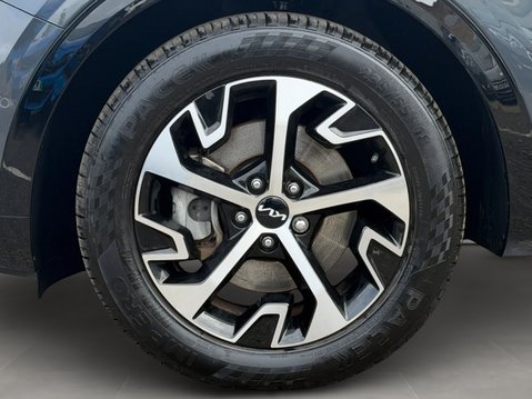 Kia Sportage 1.6T GDi HEV 4 5dr Auto 13