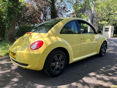 Volkswagen Beetle LUNA 8V 14