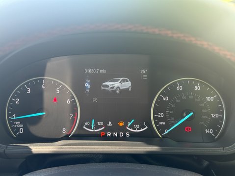 Ford Ecosport 1.0T EcoBoost GPF ST-Line SUV 5dr Petrol Auto Euro 6 (s/s) (125 ps) 17