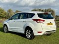 Ford Kuga TITANIUM SPORT TDCI FSH 8
