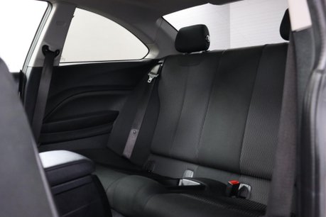 BMW 2 Series 2.0 218d SE Euro 6 (s/s) 2dr 41