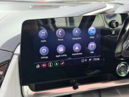 Chevrolet Corvette Stingray 6.2 V8 3LT Convertible 2dr Petrol DCT Euro 6 (482 ps) 39