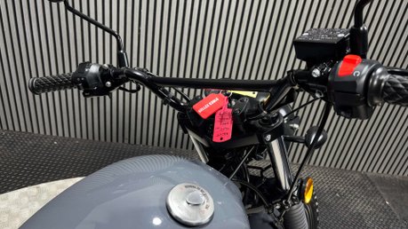 Mutt Hilts 2021 ONLY 529 MILES 1 OWNER WARRANTY 125CC SCRAMBLER 24