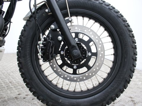 Mutt Akita 125 Pre-registered 23