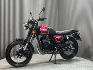 Bullit Hunt 2020 ONLY 1K MODERN 125CC RETRO BIKE CAFE RACER LEARNER 6