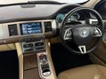Jaguar XF D LUXURY 12