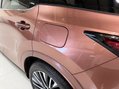 Lexus RX 450H PLUS PREMIUM PLUS 100