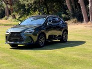Lexus NX 350H 25