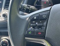 Hyundai TUCSON 1.7 CRDi Blue Drive Premium SUV 5dr Diesel DCT Euro 6 (s/s) (141 ps) 13